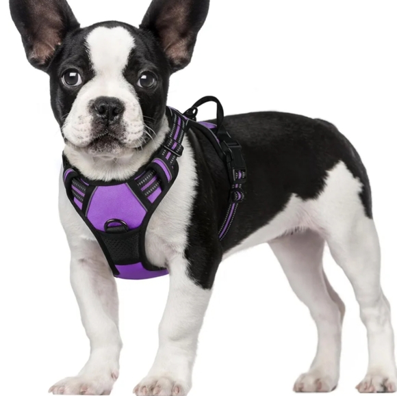 NWT Rabbitgoo Reflective padded No Pull Dog pet Harness - Picture 1 of 5